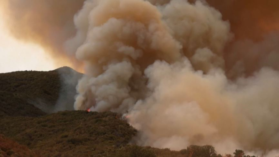 Лесные пожары бушуют на юге Калифорнии