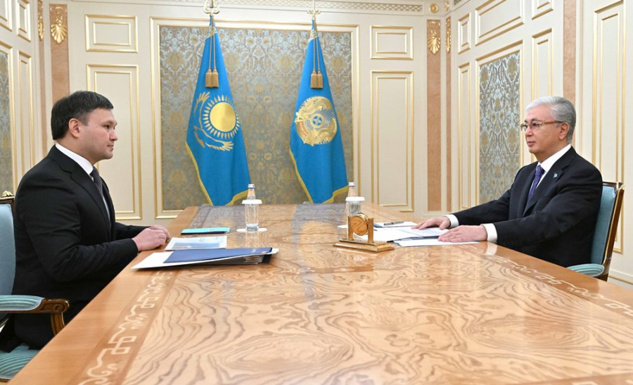 Глава государства принял председателя правления АО НК «КазМунайГаз»