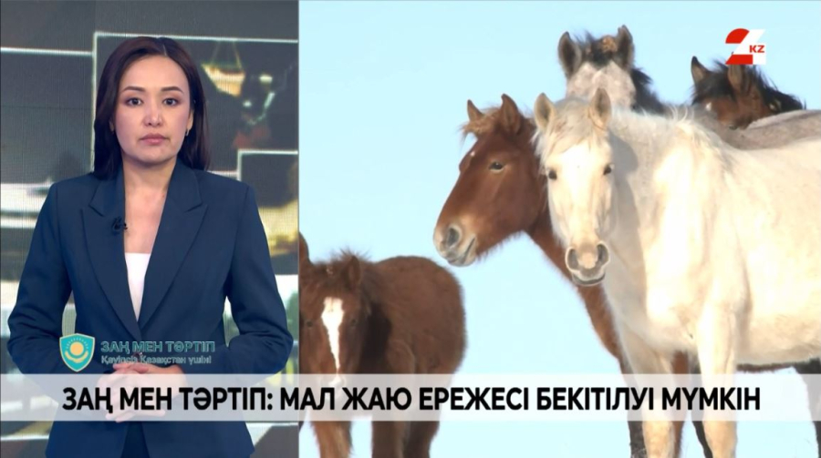 Елімізде мал жаюдың ережесі бекітілуі мүмкін