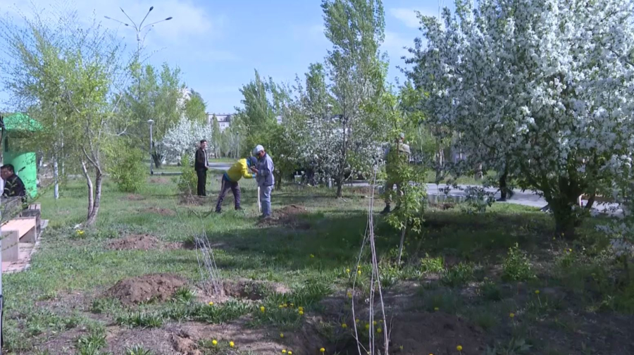 Ұлытау облысында 7600 түп көшет егілді