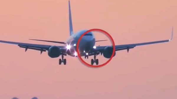 Қазақстанда жыл сайын ұшақ пен құстар соқтығысуының 50-ге жуық оқиғасы тіркеледі