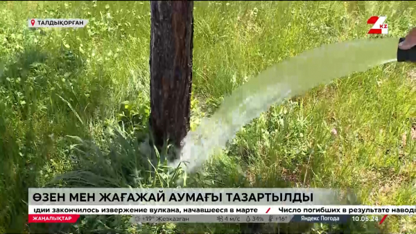 «Таза Қазақстан». 900 ағаш егілді