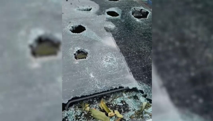 Қытайда шектен тыс ірі бұршақ жауды