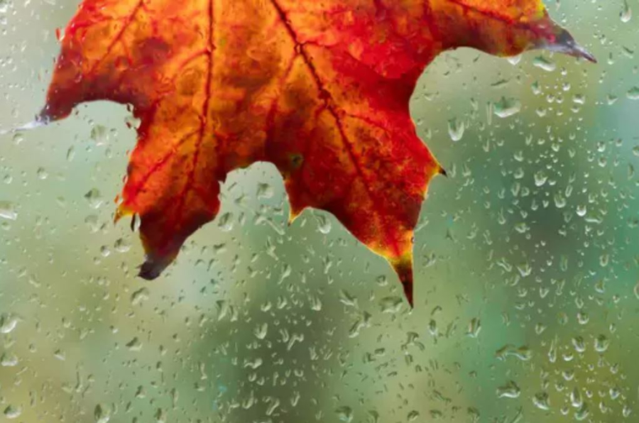 Погода в Казахстане: холод, дожди и первый снег