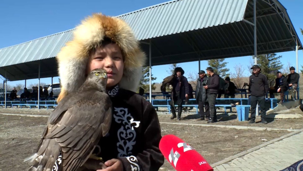 Құсбегілердің республикалық турнирі өтіп жатыр