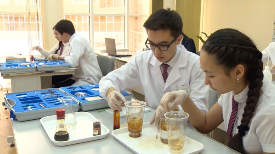 Білім мен медицина салалары реформаланады