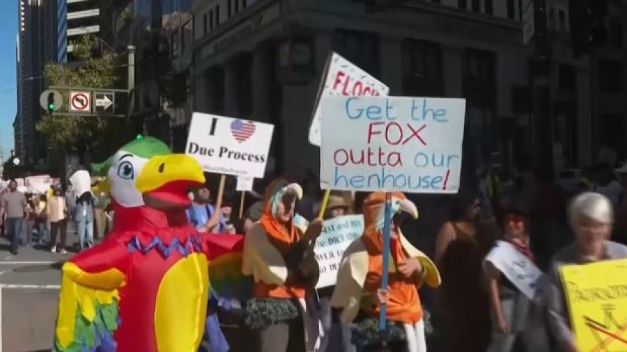 «Нет королям»: в США проходят масштабные демонстрации