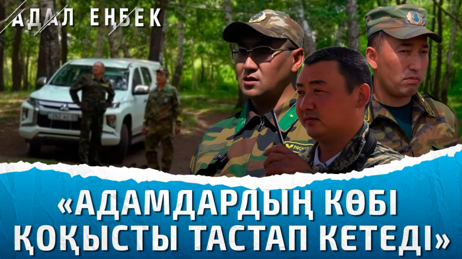 «Еңбегіміз көзге көріне бермейді». Орманшылардың бір күні