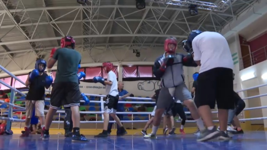 Как развивают бокс в Жамбылской области