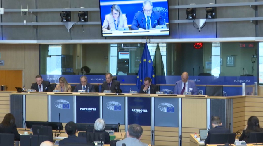 Қазақстан Еуропарламент назарында
