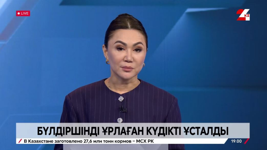 Талғарда екі жасар бүлдіршінді ұрлаған күдікті ұсталды