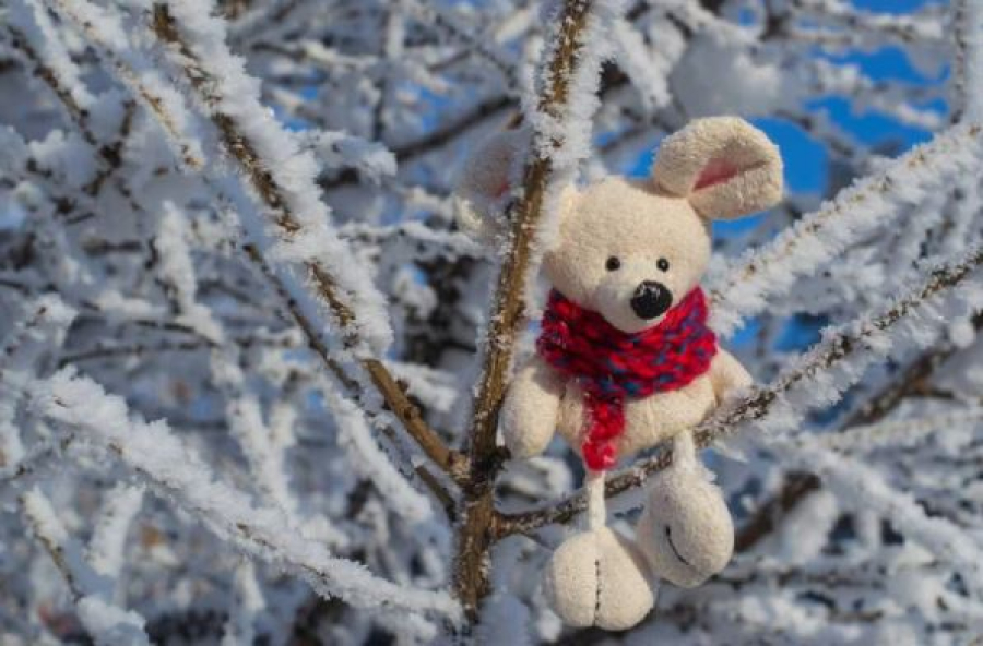 Зима в Казахстане будет тёплой