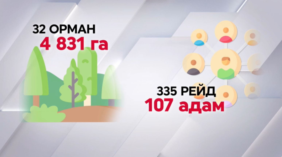 Елде 4831 гектар орманды өрт шалды