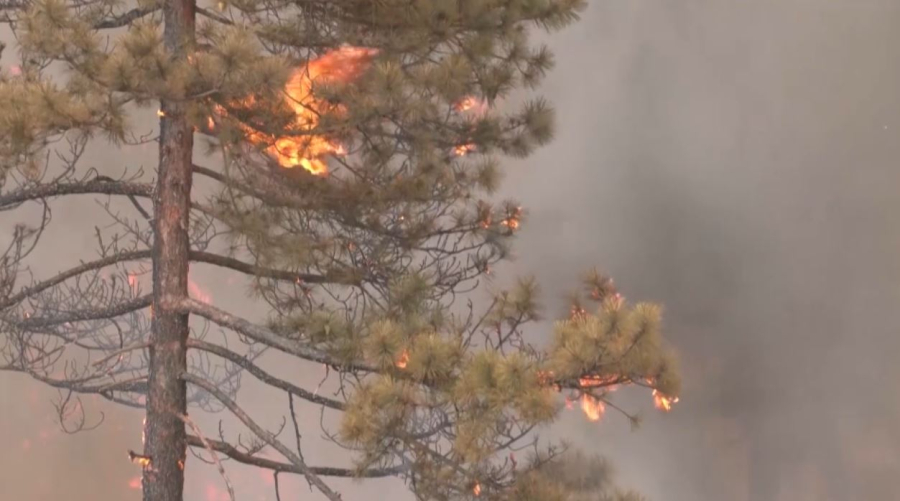 Түркияда аптаптан табиғат апаты жиіледі