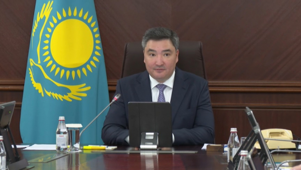 Бектенов поручил ускорить газификацию и пресечь «серый» экспорт