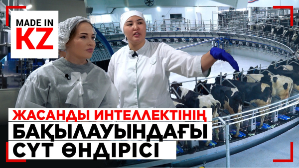 Жасанды интеллектінің бақылауындағы сүт өндірісі