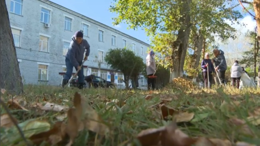 Актогайские медики поддержали экологическую акцию