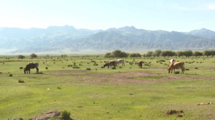 Государство возвращает земли в оборот