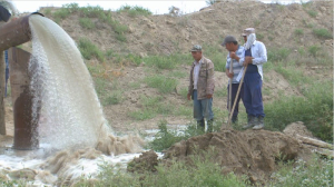 Аграрии южных регионов Казахстана продолжают испытывать дефицит поливной воды
