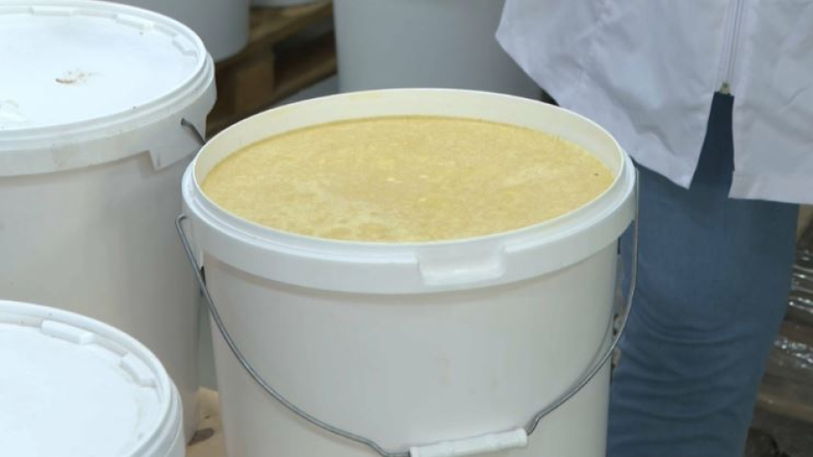 Алтайский мёд выходит на рынок Европы