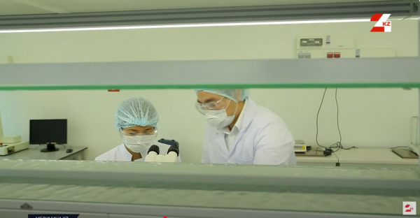 Дәрігерлер дабыл қақты: әлемде өкпе аурулары көбейіп келеді