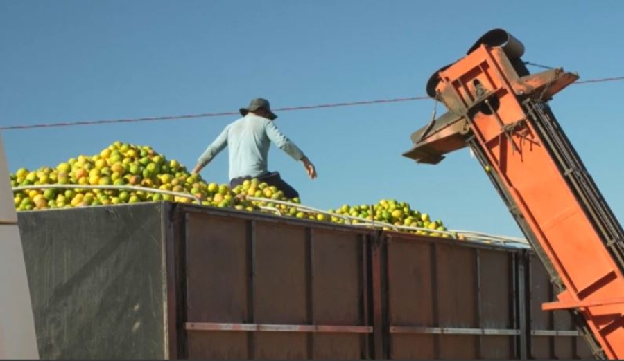 АҚШ Бразилияға баж салығын  50% көтереді