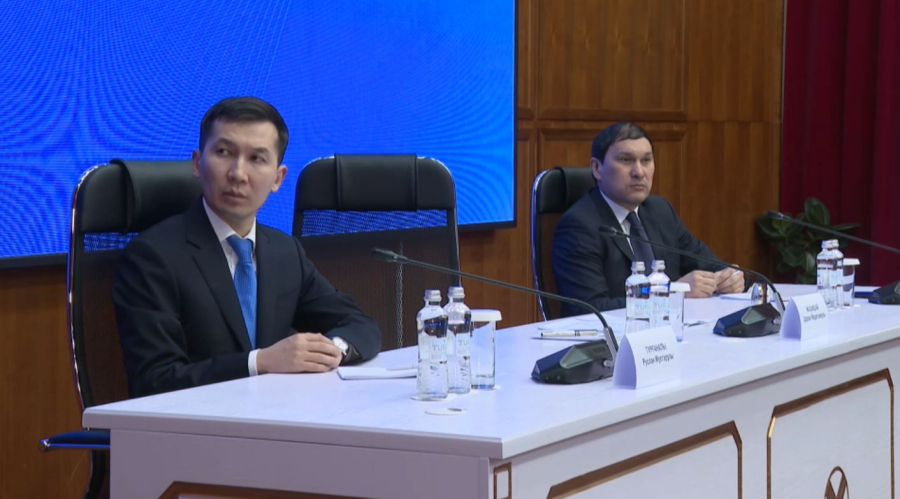 Конституция жобасы: адам құқығының кепілі 