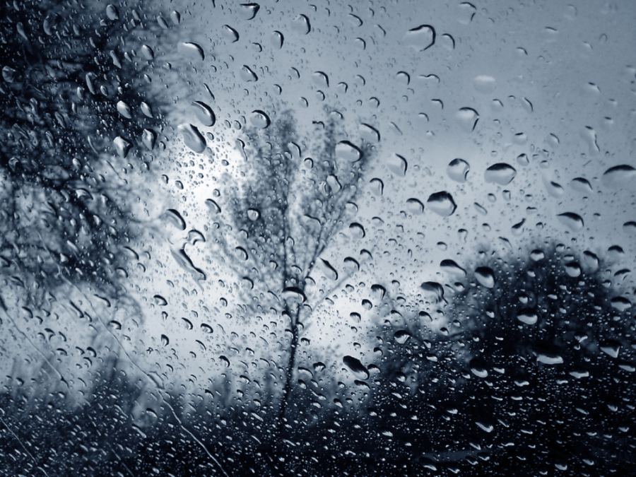 Грозы, град и жару обещают казахстанцам