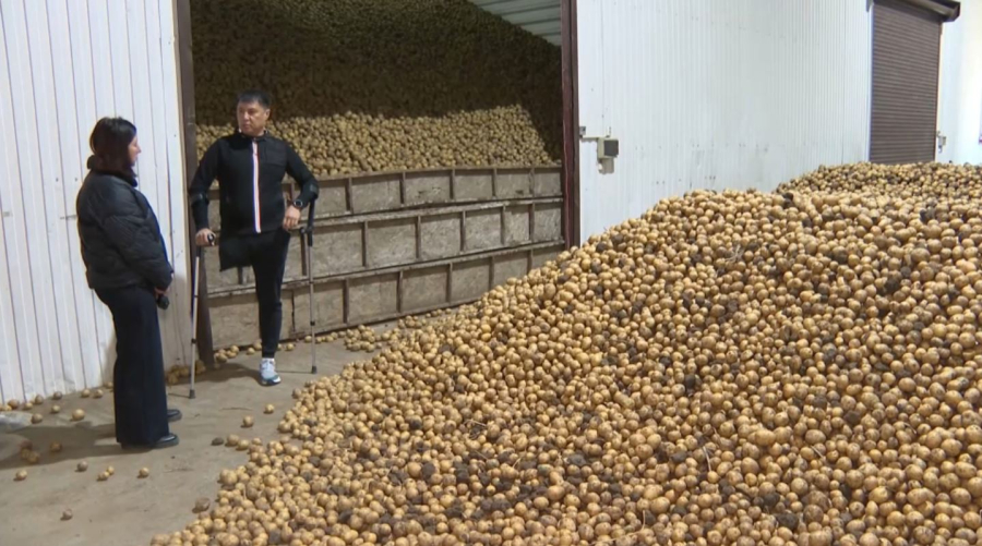 Биыл Ақтөбе облысының азық-түлік көлемі жылдағыдан екі есе көп болады