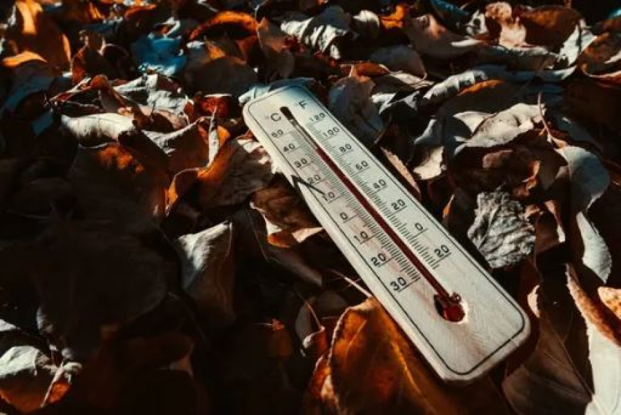 Сухая и прохладная погода сохраняется в Казахстане