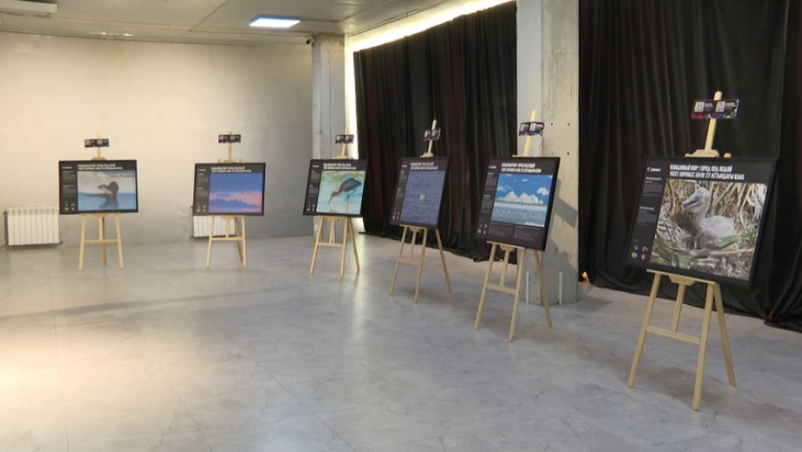 Фотовыставка о подводном мире открылась в Астане