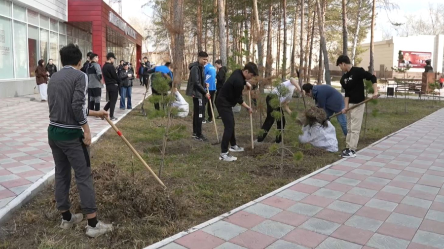 Павлодарда саябақтар мен жатақхана аумағы қоқыстан тазартылды