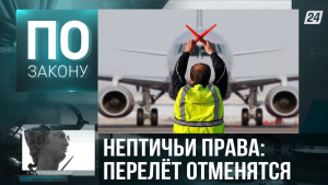 Почему в Казахстане авиабилеты так дорого стоят? | По закону