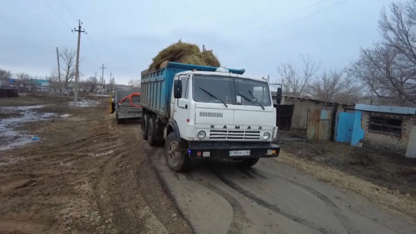 Корм для домашнего скота отправили в подтопленные районы Костанайской области