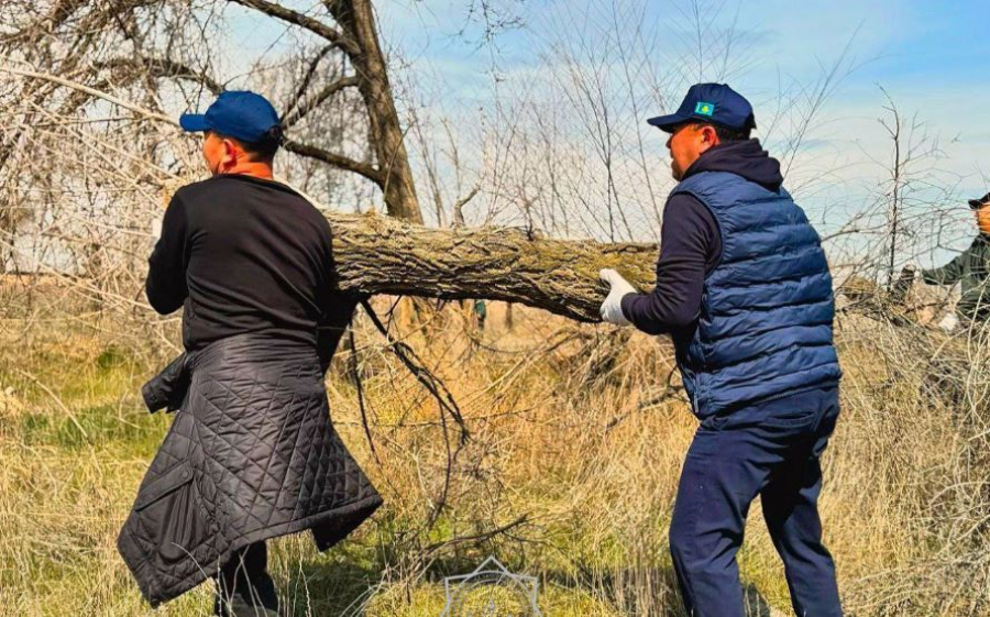 Масштабный субботник провели в Алматинской области