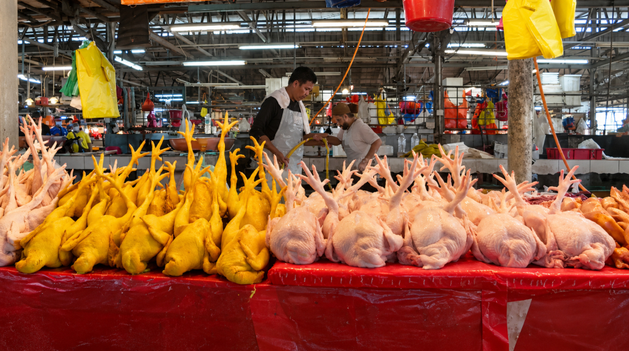 Что происходит с мировыми ценами на продукты питания