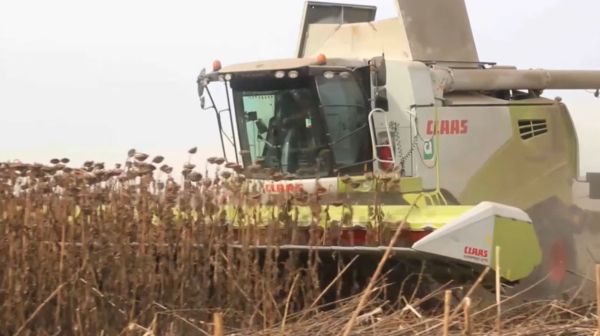 Елде 47 май өңдеу зауыты бар