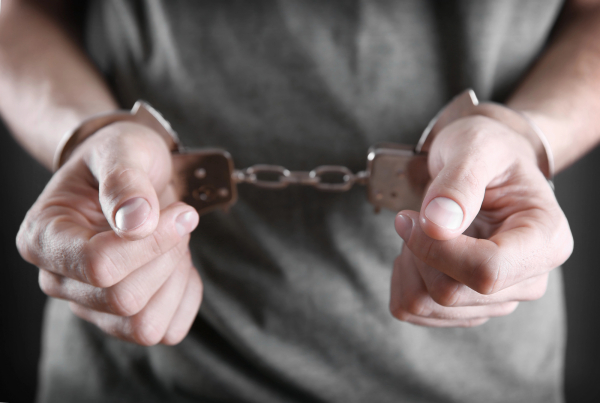 Житель Кызылординской области задержан за культивирование наркотиков в фитолаборатории