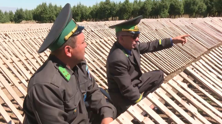 Орманшы болу оңай ма?