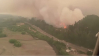 Власти Чили запросили помощь для борьбы с лесными пожарами