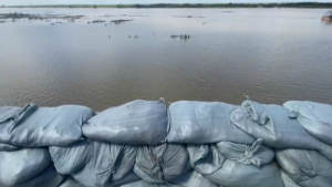 Уровень воды в реке Жайык продолжает подниматься