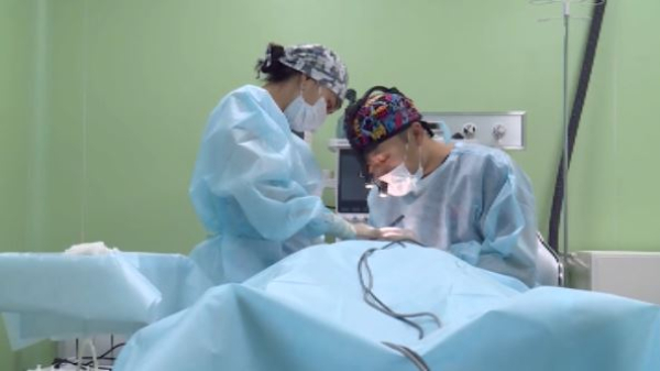 Былтыр косметологиялық және пластикалық ота бойынша 80-нен астам шағым түскен