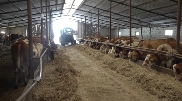 БҚО-да сүт өңдеу зауыты салынбақ