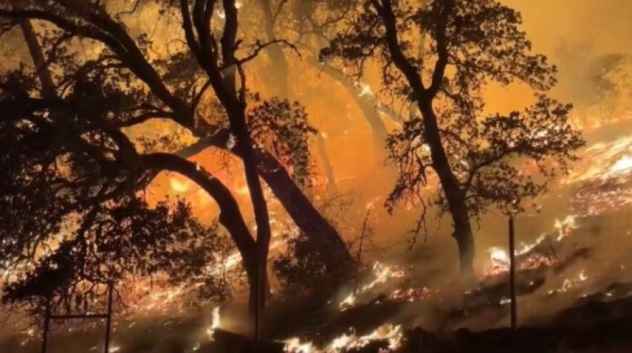 Лесной пожар в Калифорнии: сгорело почти 3 тысячи га