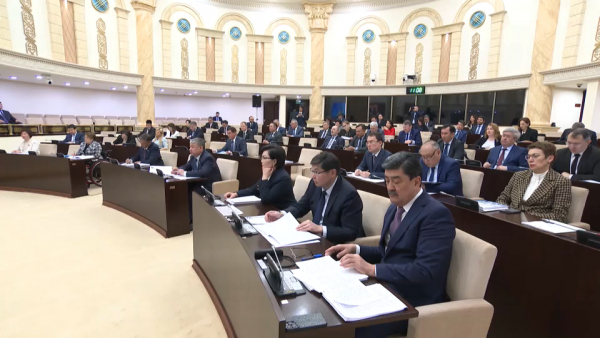 Экологическую ответственность бизнеса обсудили в Сенате