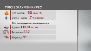 Абай облысындағы тілсіз жаумен күрес 7 учаскеде жүргізіліп жатыр