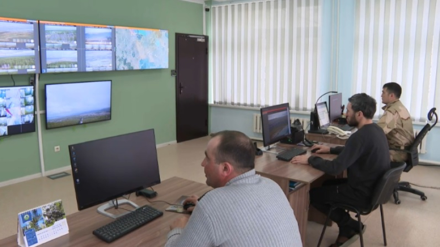 В пяти лесхозах Акмолинской области установили 20 камер видеонаблюдения