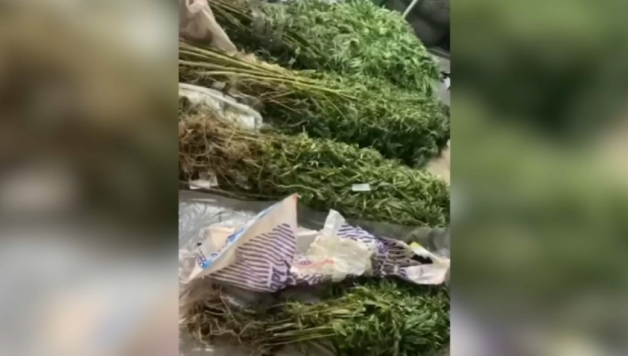 Около 72 кг наркотиков изъяли у 52-летнего акмолинца