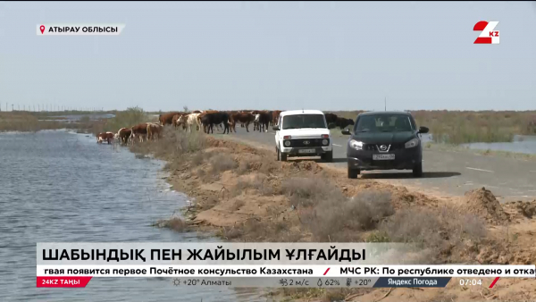 Қарғын судың пайдасын қалай көреміз?