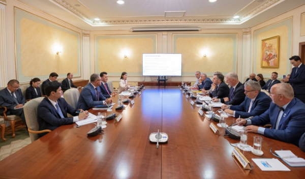 Карин встретился с депутатами Европарламента